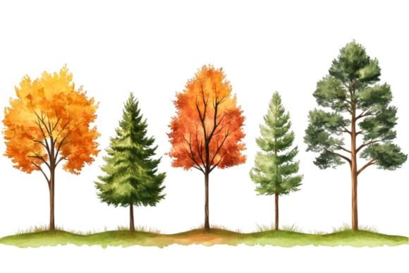 Autumn Trees PNG: Elevating Design with High-Resolution Nature Assets