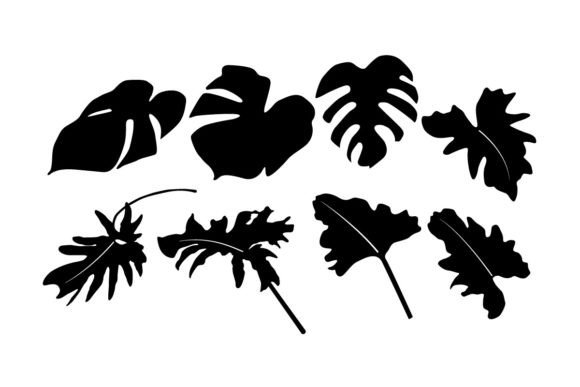 Mastering the Monstera Deliciosa Design SVG Vector for Professional Creative Workflows