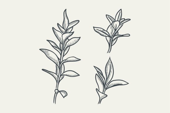 Tree Tribal Element: Elevating Design with Vintage Botanical Art